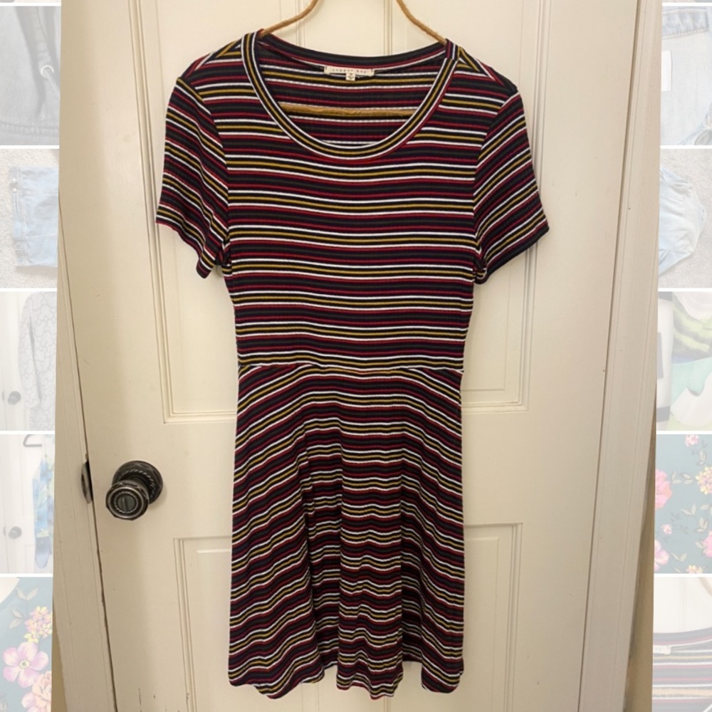 Striped Skater Dress